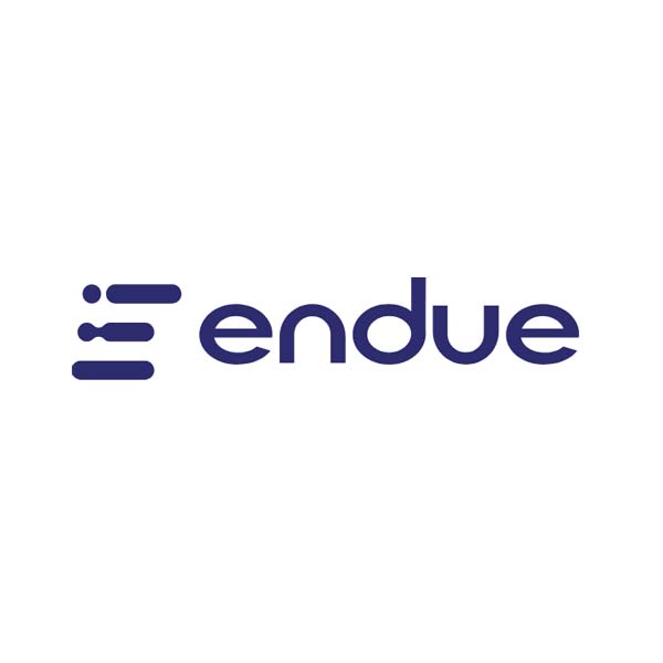 Endue Software